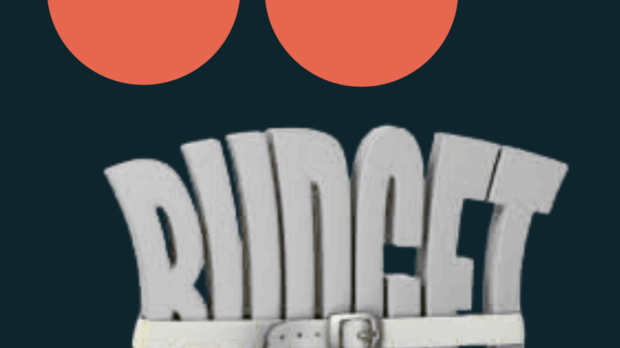 [blog]_[13 Tips To Optimise PPC Campaigns and Make The Most of Smaller Budgets]_[Blog Picture]