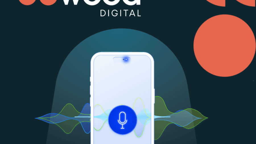 [blog]_[Voice search: the future of SERPs?]_[Blog Picture]